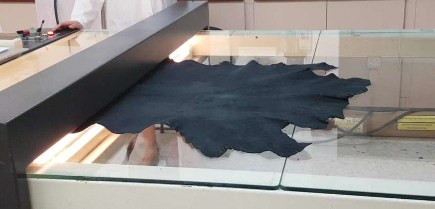 Misurazione della pelle, la “missione” della Stazione Sperimentale in Spagna e Francia