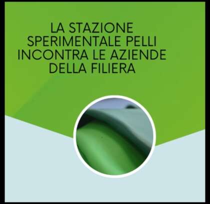 La Stazione Sperimentale Pelli incontra le aziende del DVP