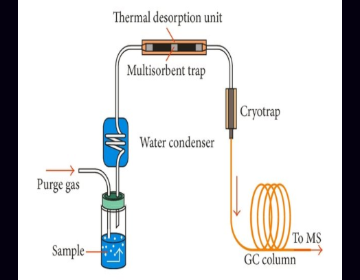 Determinazione dei VOC e diagnosi del degrado dei cuoi