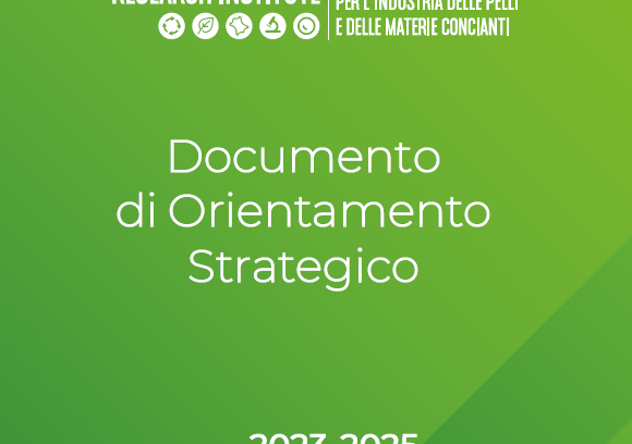 Approvato il Documento di Orientamento Strategico della SSIP 2023-2025