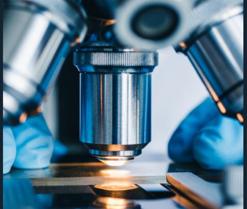 Soluzioni tradizionali e innovative per il monitoraggio, la prevenzione e il contrasto allo sviluppo microbico nei cuoi