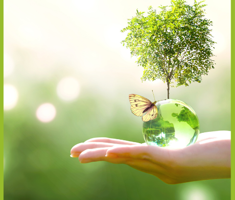 L’Europa ha scelto la sostenibilità e l’innovazione