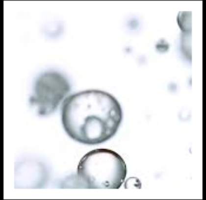 Tensioattivi in conceria